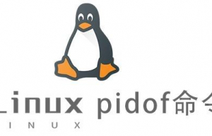 Linux常用命令—pidof命令
