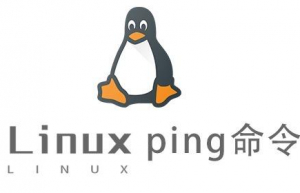 Linux常用命令—ping命令