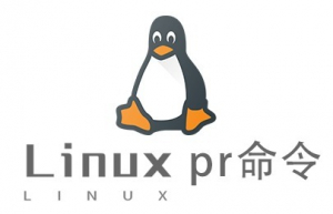 Linux常用命令—pr命令