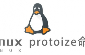 Linux常用命令—protoize命令