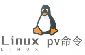 Linux常用命令—pv命令