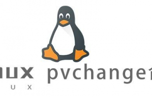 Linux常用命令—pvchange命令