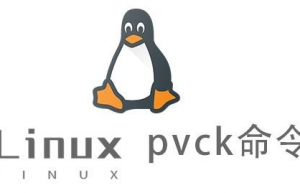 Linux常用命令—pvck命令