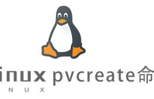Linux常用命令—pvcreate命令