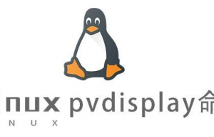 Linux常用命令—pvdisplay命令