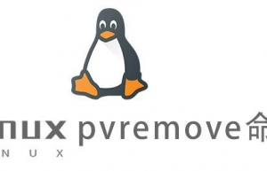 Linux常用命令—pvremove命令