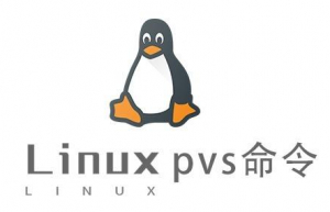 Linux常用命令—pvs命令