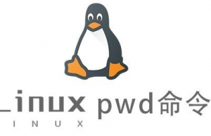 Linux常用命令—pwd命令