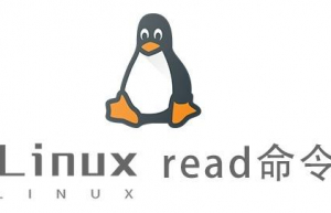 Linux常用命令—read命令