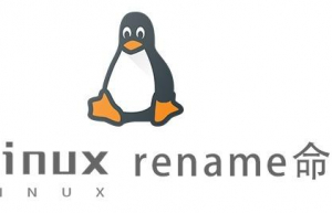Linux常用命令—rename命令