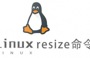 Linux常用命令—resize命令