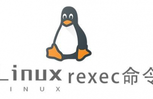 Linux常用命令rexec命令