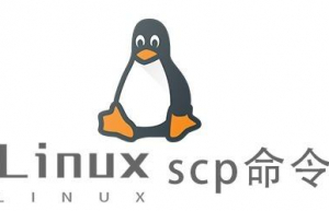 Linux常用命令—scp命令