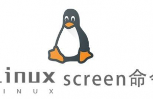 Linux常用命令—screen命令