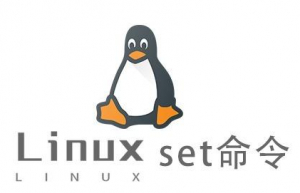 Linux常用命令—set命令