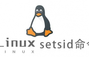 Linux常用命令—setsid命令