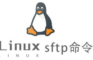Linux常用命令—sftp命令