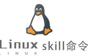 Linux常用命令—skill命令