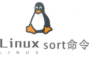 Linux常用命令—sort命令