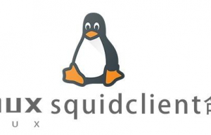 Linux常用命令—squidclient命令
