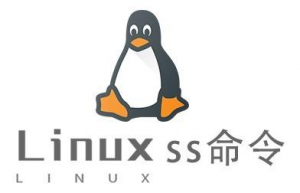 Linux常用命令—ss命令