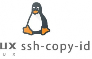 Linux常用命令—ssh-copy-id命令