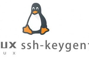Linux常用命令—ssh-keygen命令
