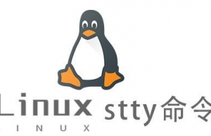 Linux常用命令—stty命令