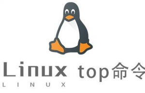 Linux常用命令—top命令