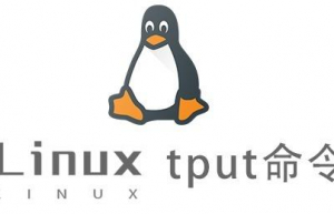 Linux常用命令—tput命令
