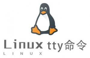 Linux常用命令—tty命令
