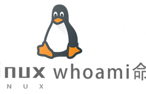 Linux常用命令—whoami命令