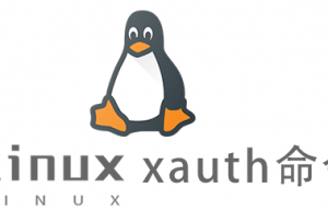 Linux常用命令—xauth命令