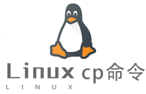 Linux常用命令cp命令具体使用方法