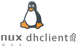 Linux常用命令dhclient命令具体使用方法