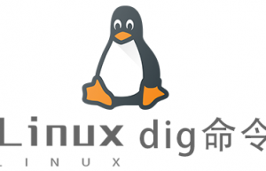 Linux常用命令dig命令具体使用方法