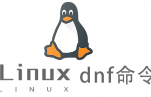 Linux常用命令dnf命令具体使用方法
