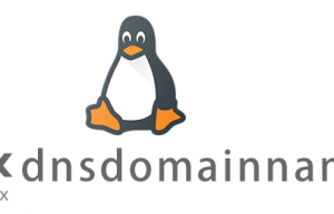 Linux常用命令dnsdomainname命令具体使用方法