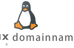 Linux常用命令domainname命令具体使用方法
