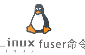 Linux常用命令fuser命令具体使用方法