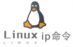 Linux常用命令ip命令具体使用方法