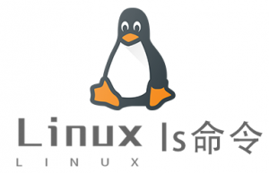 Linux常用命令ls命令具体使用方法