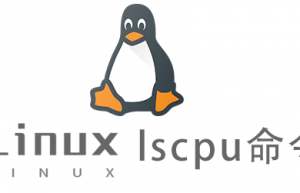 Linux常用命令lscpu命令具体使用方法