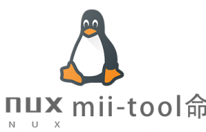 Linux常用命令mii-tool命令具体使用方法