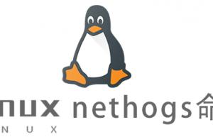 Linux常用命令nethogs命令具体使用方法
