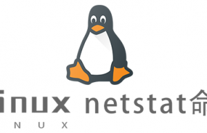 Linux常用命令netstat命令具体使用方法