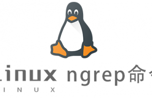 Linux常用命令ngrep命令具体使用方法