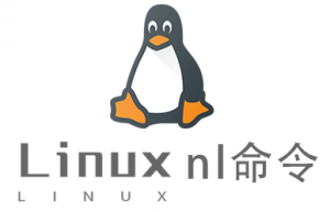 Linux常用命令nl命令具体使用方法