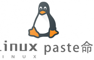 Linux常用命令paste命令具体使用方法