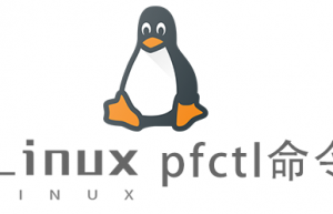 Linux常用命令pfctl命令具体使用方法